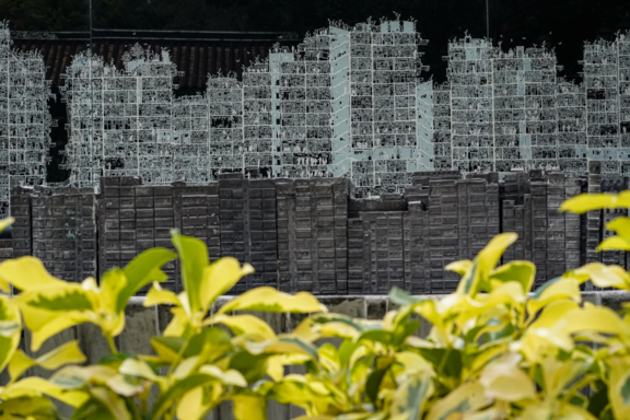 high levels of living